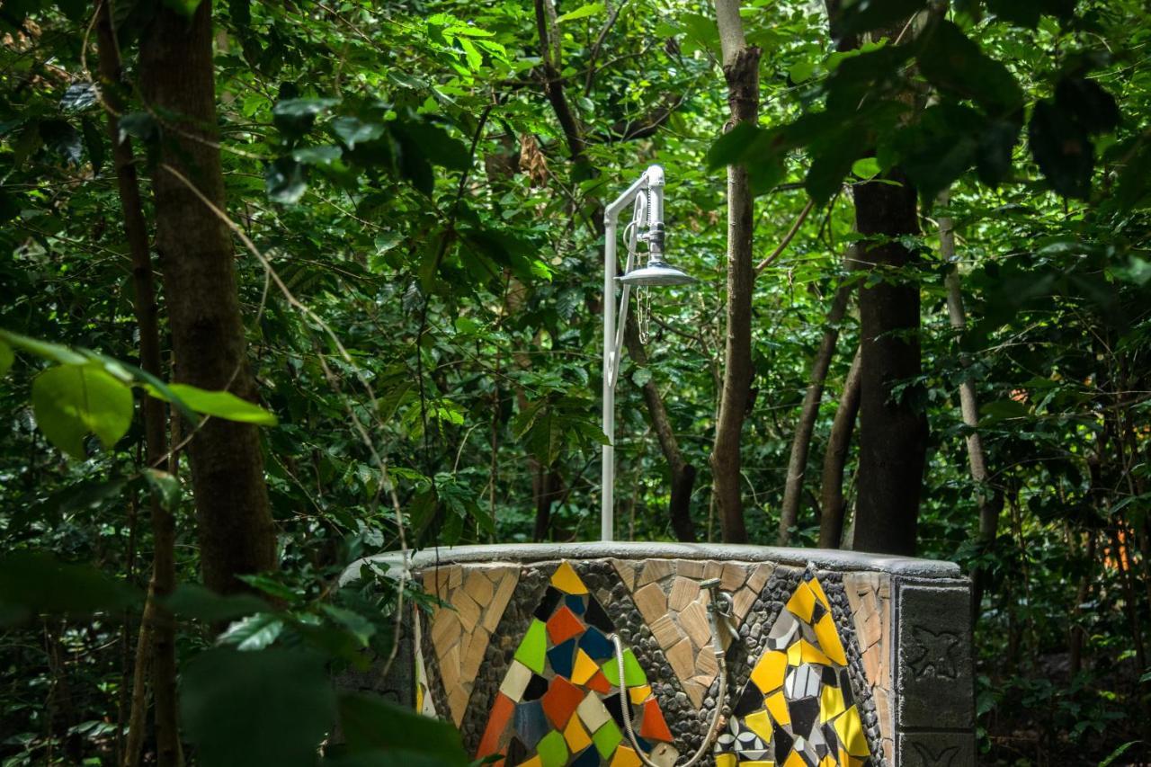 Hotel La Casa De Los Arboles Immersive Experience Zacualpan de Amilpas Exterior photo